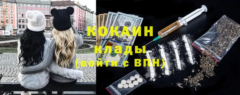 где купить наркоту  Данков  COCAIN FishScale 