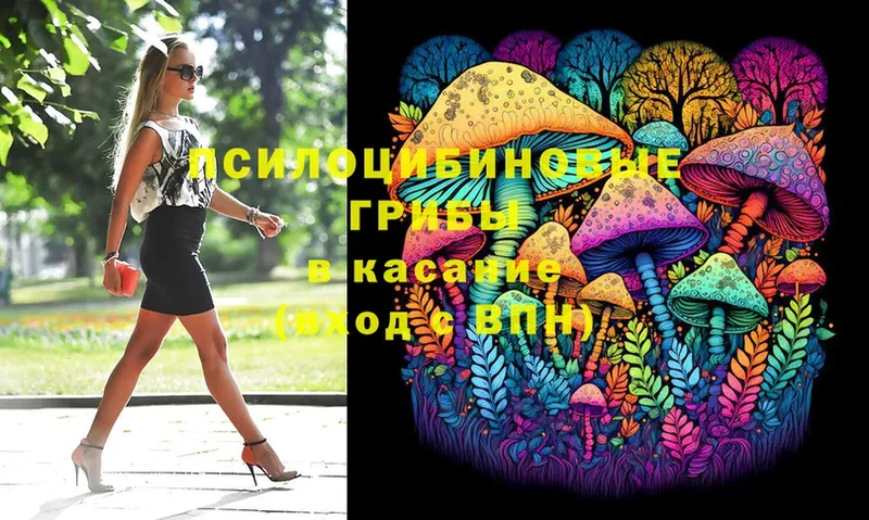 Галлюциногенные грибы Magic Shrooms  где найти   Данков 